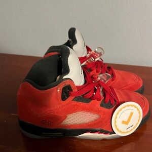 Air Jordan 5 SE Raging Bull
